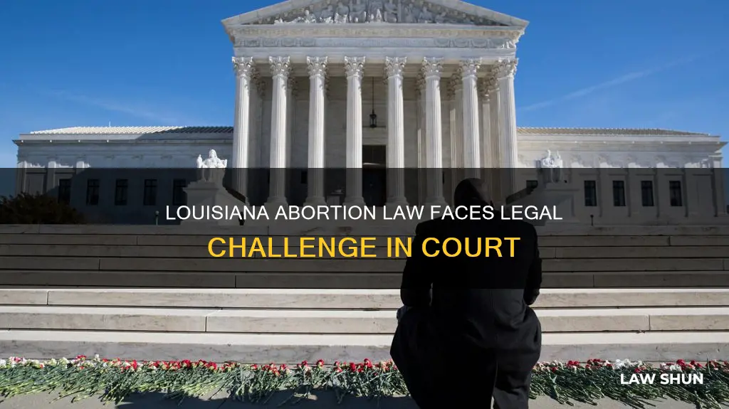 who took louisiana to court about their abortion law