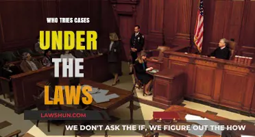 Legal Eagles: Who Tries Cases?