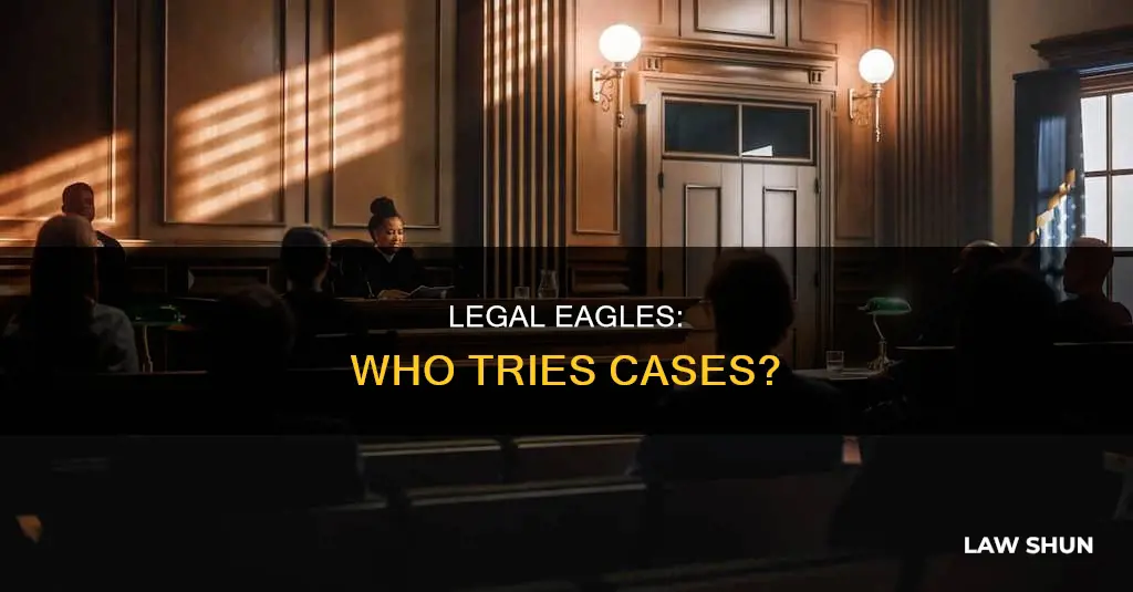 who tries cases under the laws