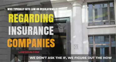 Who Regulates Insurance Companies: Understanding the Legal Framework