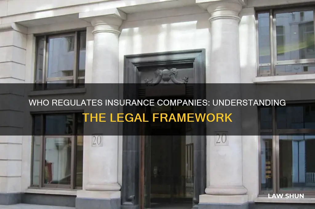 who typically sets law or regulations regarding insurance companies