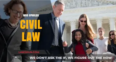 Who Upholds Civil Law: Key Institutions and Their Roles Explained