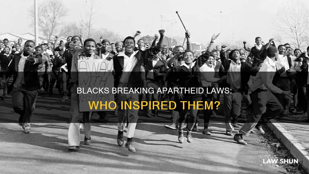 who urged blacks in south africa to break apartheid laws