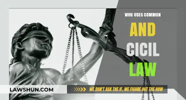 Civil and Common Law: Who Uses These Laws?