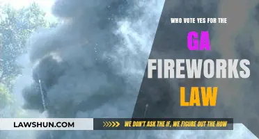 Who Supported Georgia's Fireworks Law? Uncovering the Yes Votes
