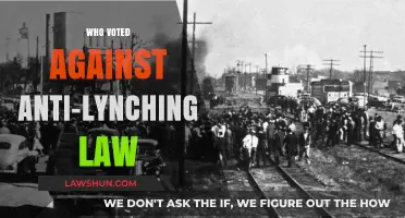 Who Opposed the Anti-Lynching Law: Uncovering the Senate's Vote