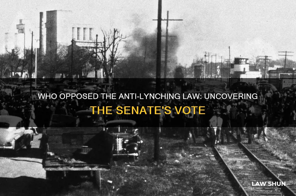 who voted against anti-lynching law