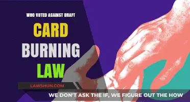 Unveiling the Opposition: Who Voted Against Draft Card Burning Law?
