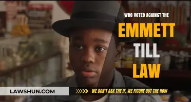 Emmett Till Law Opposition: Uncovering the Votes Against Justice