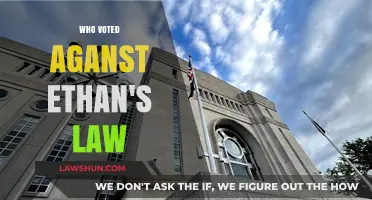 Unveiling the Opposition: Who Voted Against Ethan's Law and Why?