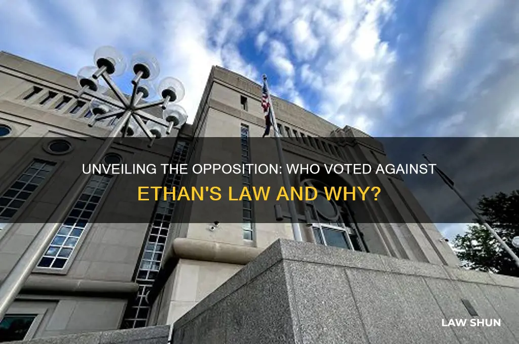 who voted aganst ethan