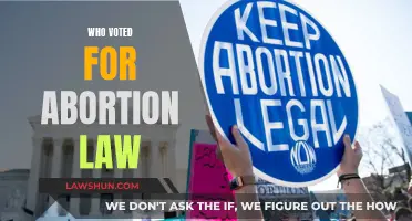 Who Backed Abortion Law Change: Political Divide