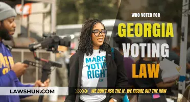 Who Supported Georgia's Voting Law: A Breakdown of the Votes