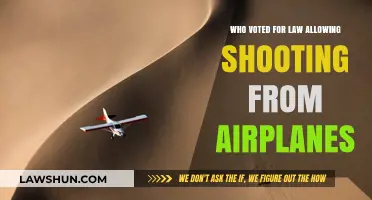 Who Supported the Law Legalizing Shooting from Airplanes?
