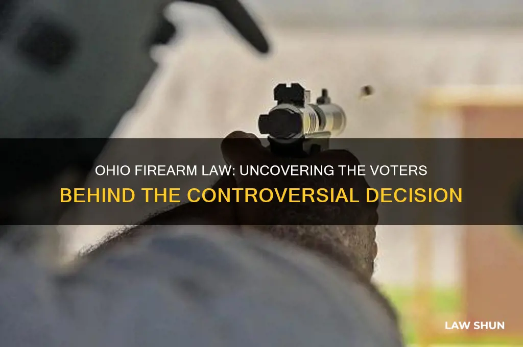 who voted for ohio firearm law