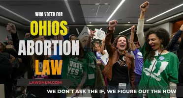 Ohio Abortion Law: Who Voted and Why?