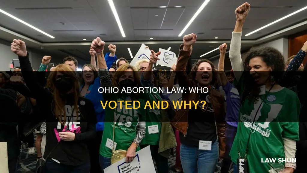 who voted for ohios abortion law