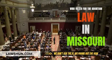 Missouri Abortion Law: Who Voted for It?