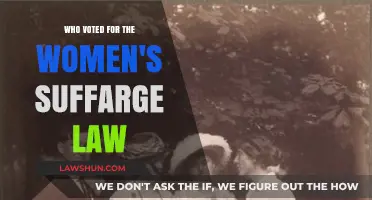 Unveiling the Allies: Who Supported the Women's Suffrage Law?
