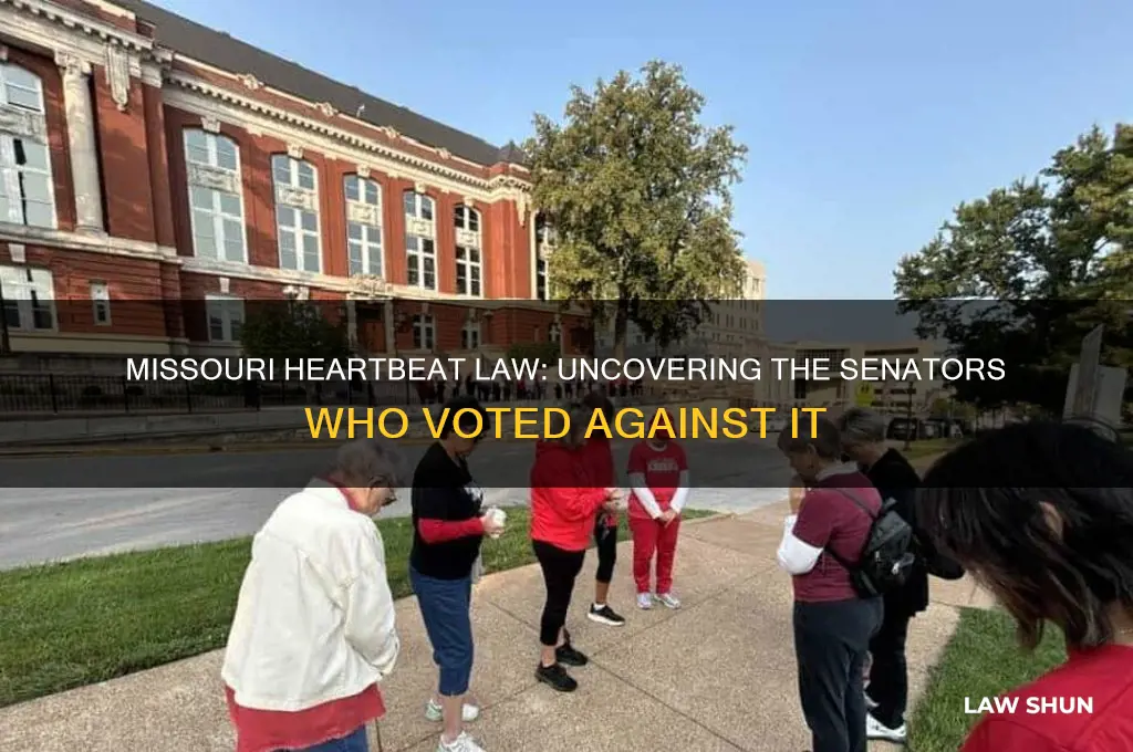who voted no on missouri heart beat law