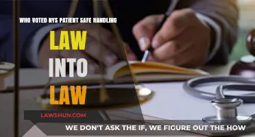 Who Voted NYS Patient Safe Handling Law into Law?