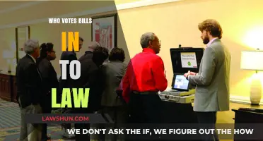 Understanding the Legislative Process: Who Votes Bills into Law?
