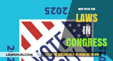 Who Votes for Laws in Congress: Understanding the Legislative Process