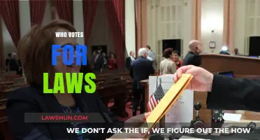 Who Votes for Laws: Understanding the Legislative Decision-Making Process