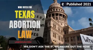 Texas Abortion Law: Who Voted and Why?