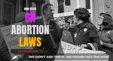 Who Decides on Abortion Laws?