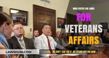 Who Decides Veterans' Laws? Understanding the Voting Process for Veterans Affairs