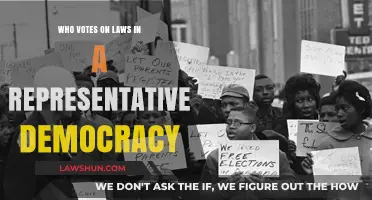 Who Holds the Power? Understanding Law Voting in Representative Democracy