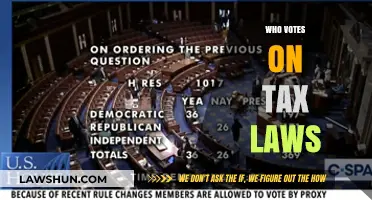 Who Decides on Tax Laws?