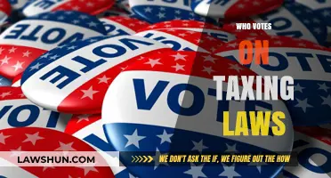 Who Decides on Taxing Laws?
