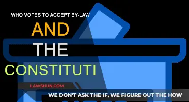 Who Decides on Bylaws and Constitution Changes?