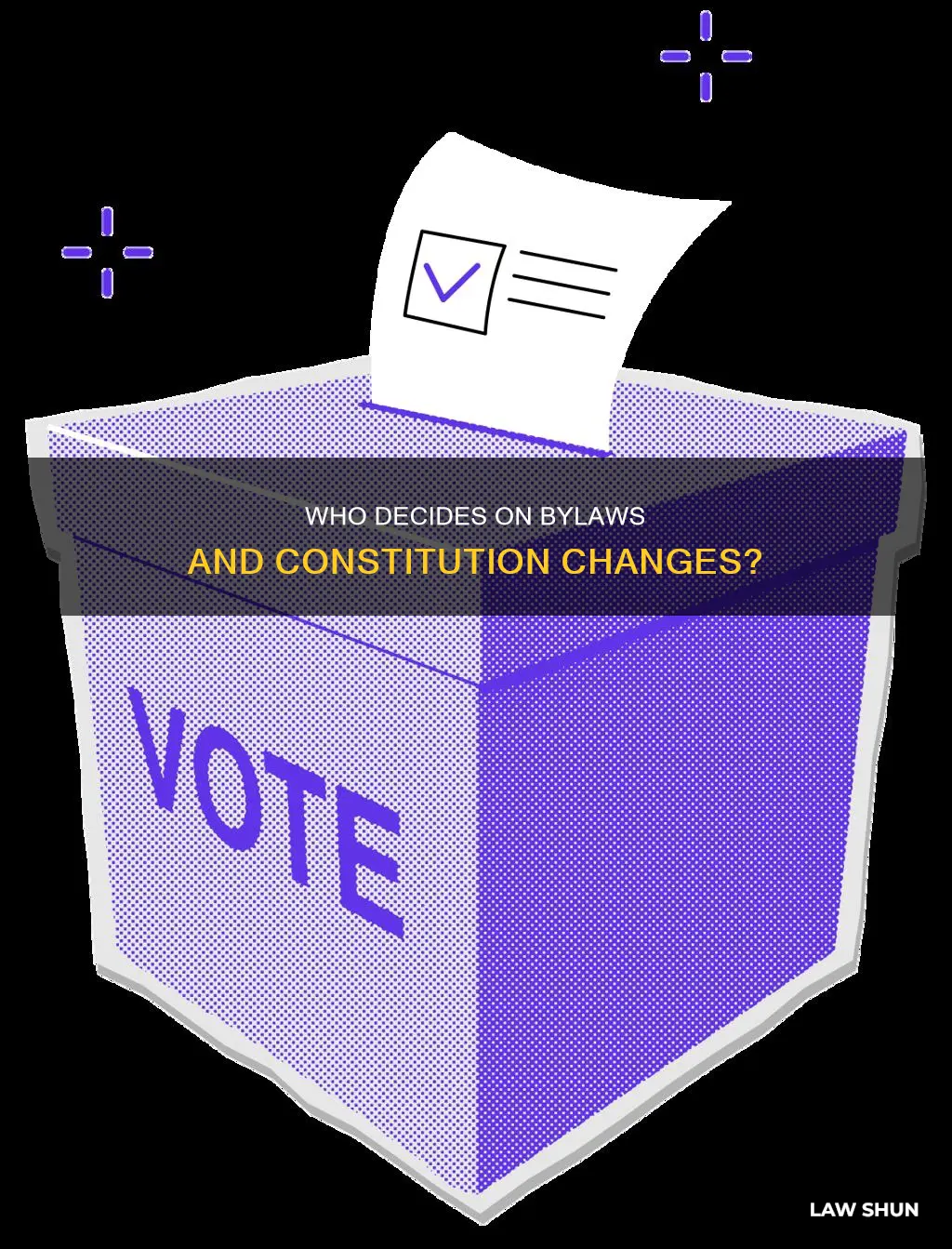 who votes to accept by-law and the constitution