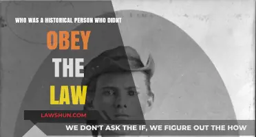 Defying Authority: The Story of a Historical Lawbreaker