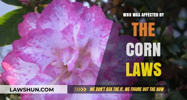Corn Laws Impact: Who Suffered and Who Benefited in Britain?