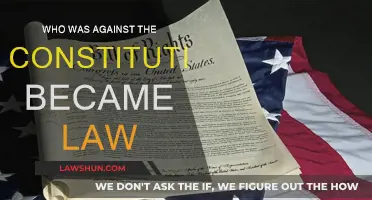 Anti-Federalists: Constitution's Foes and their Legacy