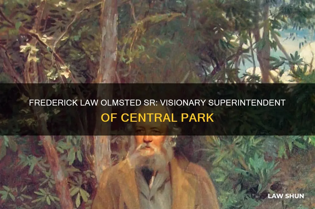 who was frederick law olmsted sr superintendent of central park
