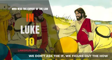 The Expert of the Law in Luke 10: Unveiling the Scholar's Identity