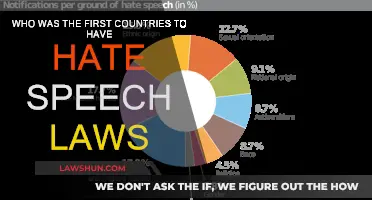 The First Countries to Implement Hate Speech Laws