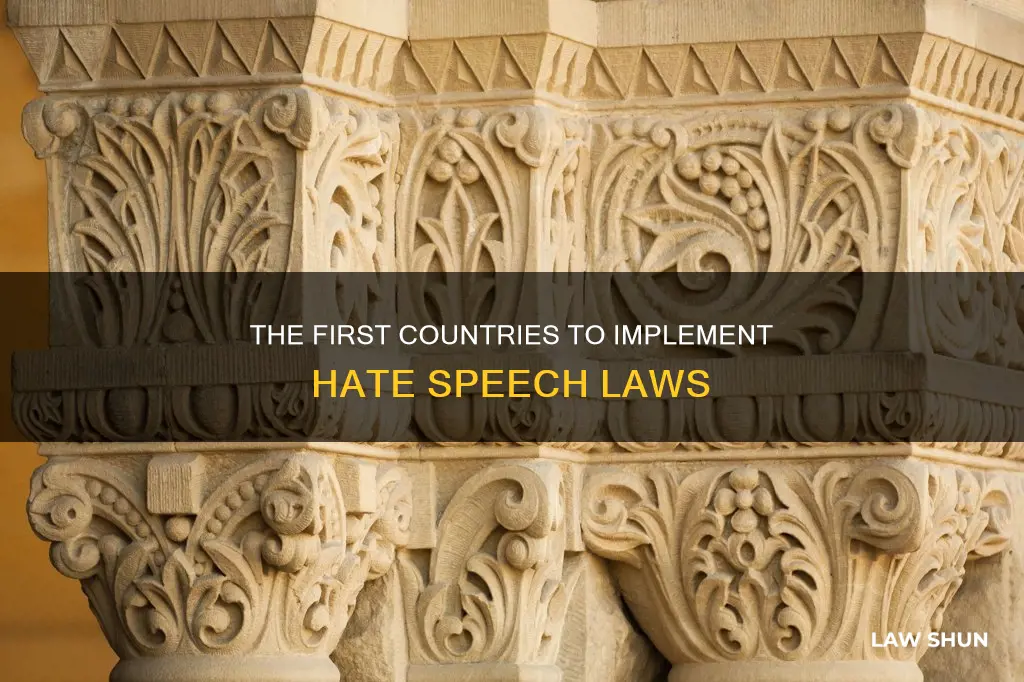 who was the first countries to have hate speech laws