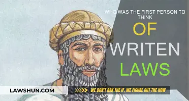 The First Legal Mind: Who Wrote the First Laws?