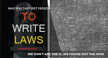 The First Law Writer: A Historical Perspective