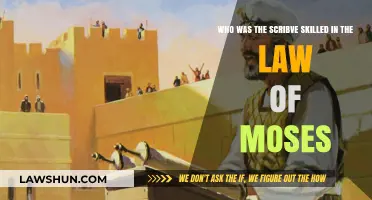 Unveiling the Expert: The Scribe Skilled in the Law of Moses