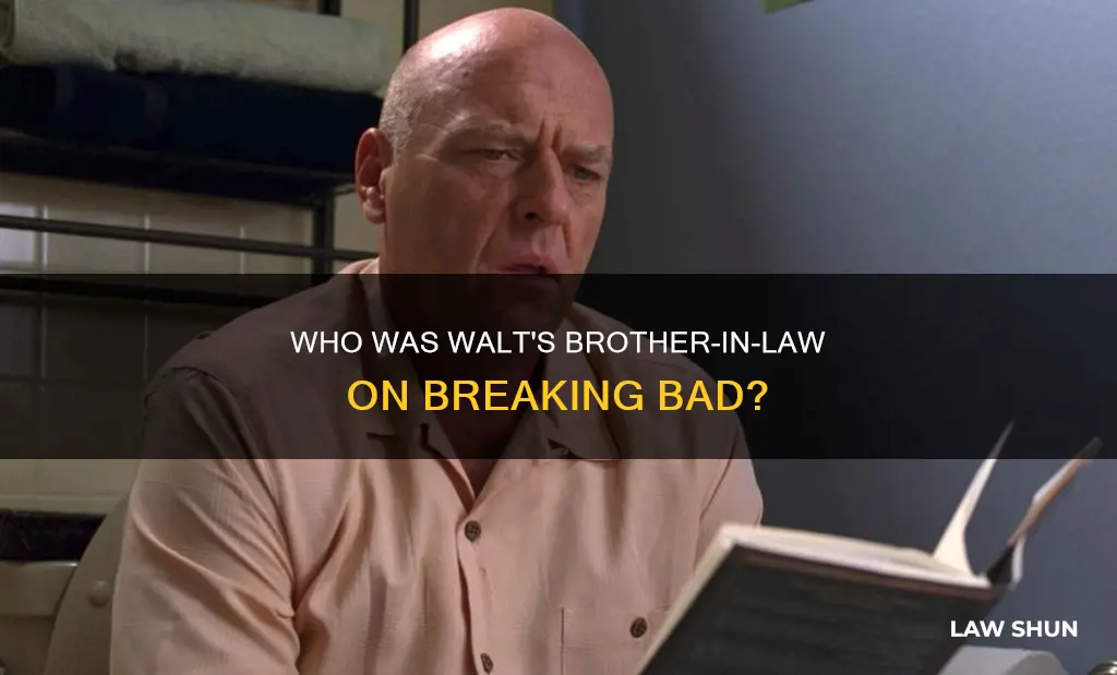 who was walts brother in law on breaking bad