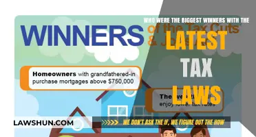 The Tax Law's Big Winners: Who Benefited Most?