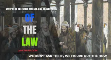 Chief Priests and Teachers of the Law: Roles and Influence