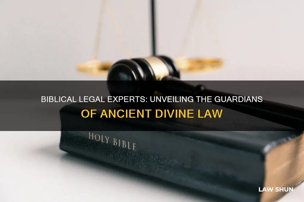 who were the experts of the law in the bible